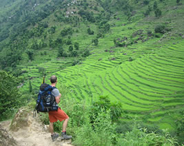 Jagat